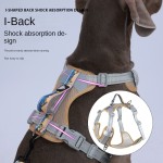 宠物背心厂家-时尚反光背胸带伸缩牵引绳