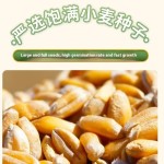 湿粮零食厂家-85克水合罐头汤白肉奶昔