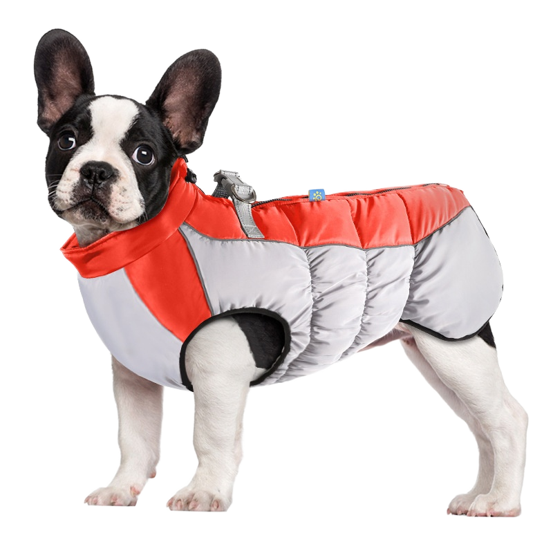 狗胸带厂家-工厂现货多色加厚尼龙纽扣闭合