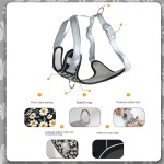 尼龙狗牵引绳厂家-轻量中小大犬用加垫胸带