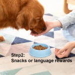 宠物引诱喷雾厂家-60毫升舒缓猫薄荷喷雾快乐水诱导