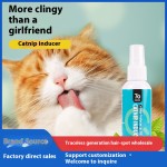 宠物干洗粉厂家-260克干洗粉除臭沐浴露