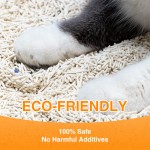 无尘猫砂生产商-批量批发私标