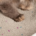 钠基膨润土猫砂供应商-易清洁猫用