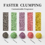 环保猫砂供应商-宠物供应商高端