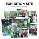 冻干猫零食供应商-高质量生产商