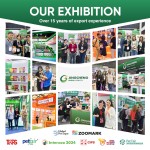 木薯猫砂供应商-厂家直供快结团