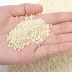 玉米木薯猫砂供应商-厂家直供环保