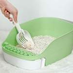 猫砂除臭供应商-超大号无带出