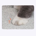 膨润土猫砂生产商-新款除臭好结团