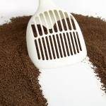 椰子猫砂包装供应商-厂家直供定制