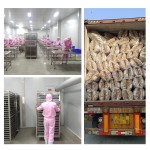 健康猫零食厂家-热销鳕鱼冻干