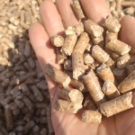 轻质松木猫砂厂家-100%天然不结团