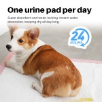 宠物尿垫生产商-厂家供应热销