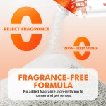 臭味控制猫砂供应商-持久高效健康