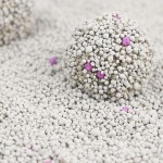 膨润土猫砂生产商-可定制10L锁味