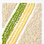 猫砂除臭供应商-超大号无带出