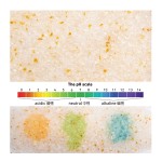 Crystal Silica Gel Litter Factory - Wholesale Custom 3.8L 5L No Dust PH Indicator Silica Gel