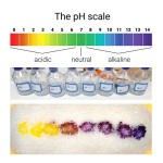 PH指示剂猫砂厂家-高吸水健康监测硅胶PH护理