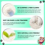 Biodegradable Cat Litter Supplier - Fast Delivery Natural Dust-Free Biodegradable Instant Clumping Eco-Friendly