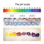 硅胶猫砂厂家-可定制高吸水不结团无毒无尘3%蓝