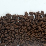 Small Particle Cat Food Factory - High Quality Good Price Hollow Fish Shape Add Fresh Meat