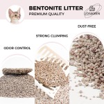 火山猫砂厂家-OEM工厂彩色颗粒破碎无尘强结团火山