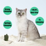Biodegradable Cat Litter Supplier - Fast Delivery Natural Dust-Free Biodegradable Instant Clumping Eco-Friendly