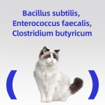 宠物益生菌粉厂家-300g肠道营养吸收