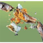 关节健康零食供应商-猫狗食品补充