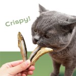 关节健康零食供应商-猫狗食品补充