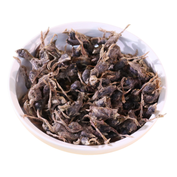 冻干猫零食供应商-批发鸭肝粒