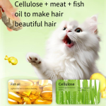 小型犬零食厂家-优质食品产品