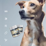 宠物微量元素粉供应商-300g维生素矿物质