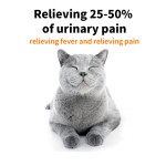 罐头宠物食品厂家-375g新鲜鸡汤营养