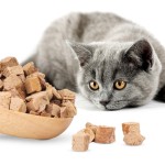 宠物冻干食品生产商-鸡肝粒可定制