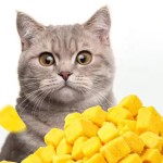 宠物冻干零食厂家-中国鹌鹑整只