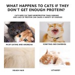 宠物湿粮生产商-汤姆先生100g鸡肉三文鱼