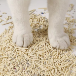 宠物营养粉生产商-300g羊奶增强