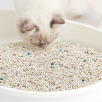 豆腐膨润土猫砂厂家-除臭无尘快速溶解