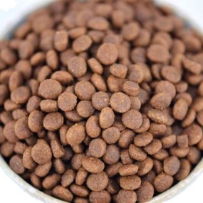Cat Dry Snack Manufacturer - Excellent Quality Natural Cat Snack Grain for Dogs
