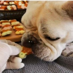狗饼干厂家-私标混合鸡肉牛肉味宠物食品零食