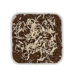 猫粮厂家-高品质天然海鱼味均衡无添加大包装