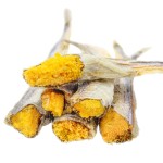 狗零食厂家-OEM冻干天然鸡肉鸭肉三文鱼鳕鱼热销