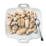 冻干宠物食品厂家-私标新西兰绿唇贻贝天然