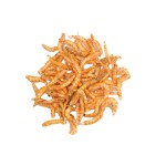 冻干虾厂家-鱼虾干燥金龙鱼鹦鹉鱼龟粮