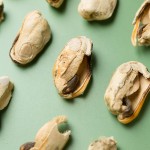 冻干宠物食品厂家-私标新西兰绿唇贻贝天然