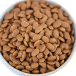 干狗粮厂家-优质OEM中国制造商猫粮