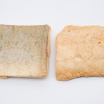 冻干三文鱼厂家-猫零食美味新鲜有机干狗零食