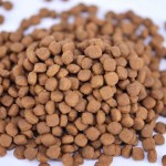 猫干零食厂家-优质品质天然猫零食谷物狗用